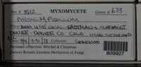 Image Associated With the Occurence